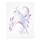 Search for cockatiel art White
