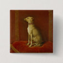 Search for greyhound badges Whippet