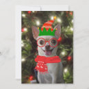 Search for chihuahua christmas cards Xmas