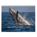 Search for wonderful calendars Photography
