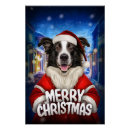 Search for collie posters Cute border collie