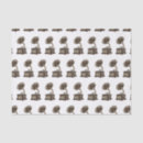 Search for record gift wrap Gramophone