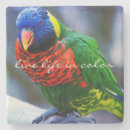 Search for quote coasters Colourful
