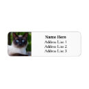 Search for blue cat return address labels Feline