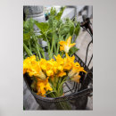 Search for baskets posters Garden