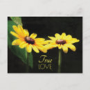 Search for black eyed susans postcards Floral
