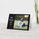 Search for collie christmas cards Photography