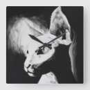 Search for sphynx cat art Feline