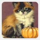 Search for ragdoll cats stickers Siamese