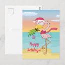 Search for flamingo beach postcards Funny