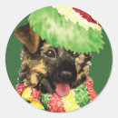 Search for alsatian stickers Gsd