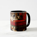 Search for kitten playing mugs Kittens