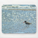 Search for birdwatcher mousepads Nature