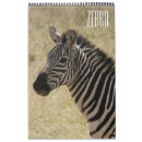 Search for zebra calendars Safari