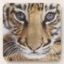 Search for cub coasters Animal