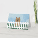 Search for norwich cards Pets