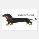 Search for dachshund illustration stickers Pet
