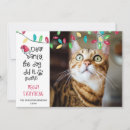 Search for funny cat sayings cards Humour