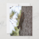 Search for upside postcards Animal