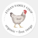 Search for vintage chicken stickers Business
