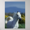 Search for headshot posters Grey