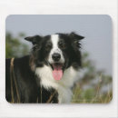 Search for headshot mousepads Collie border