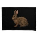 Search for rabbit pillowcases Bunny