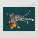 Search for panthers postcards Sports