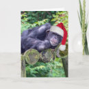 Search for monkey christmas cards Chimpanzee