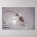 Search for phone call posters Humour