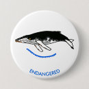 Search for humpback badges Wildlife