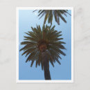 Search for summer break postcards Vacation