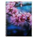 Search for cherry fine Pink