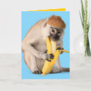Search for monkeys photo cards Funny