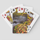 Search for danita delimont playing cards Bright