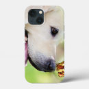 Search for butterfly dog iphone cases Dogs