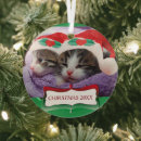 Search for kitten christmas tree decorations Cats