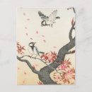 Search for blossom tree Bird