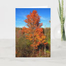 Search for trunk cards Fall