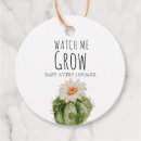 Search for succulent baby shower favour tags Greenery