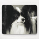Search for papillon mousepads Pet