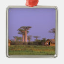Search for bared christmas tree decorations Branch