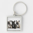 Search for pedigree dog key rings Nature