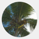 Search for coconut tree stickers Tropical