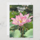 Search for pink lotus flower cards Flowers