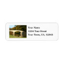 Search for bridges return address labels Photography