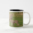 Search for leo lion mugs Wildlife