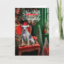 Search for australian cattle dog christmas cards Dogs