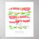 Search for bleeding hearts art Pink flowers