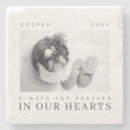 Search for pet photo coasters In loving memory